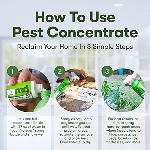BugMD - Pest Control Essential Oil Concentrate 3.7 oz - Plant Powered Bug Spray, Kills Bugs Spiders Fleas Ticks Roaches, Ant Spray Indoor, Ant Killer for House, Flea Spray for Home, Bed Bug Spray